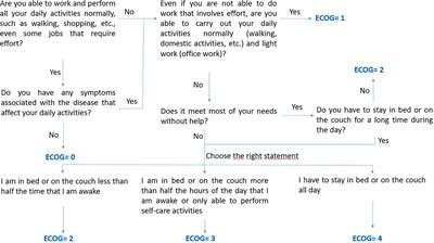 Smartphone-Based Ecological Momentary Assessment for the Measurement of the Performance Status and Health-Related Quality of Life in Cancer Patients Under Systemic Anticancer Therapies: Development and Acceptability of a Mobile App